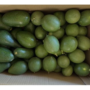 3+3 Avokado limon 3+3 Avokado limon