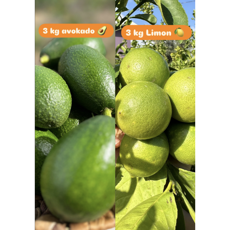3+3 Avokado limon 3+3 Avokado limon