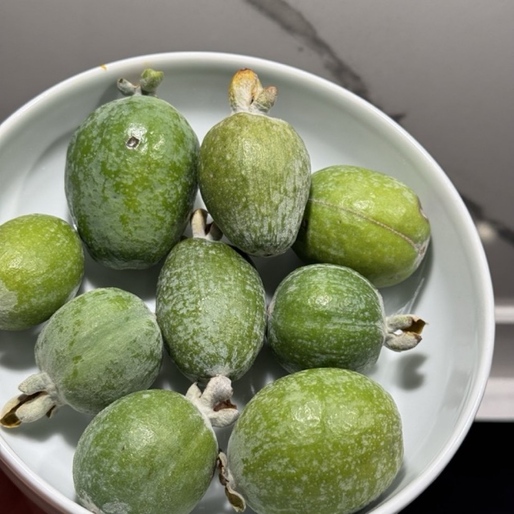 Feijoa (Kaymak Meyvesi)