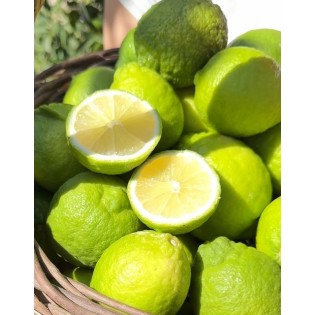 Bergamot limon