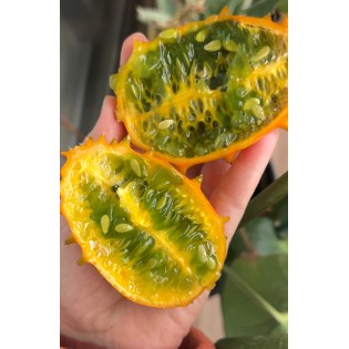 Kiwano