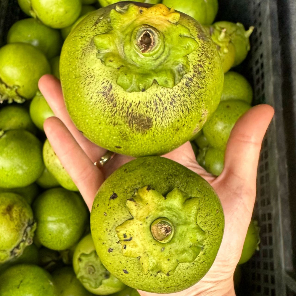 1kg Çikolata meyvesi