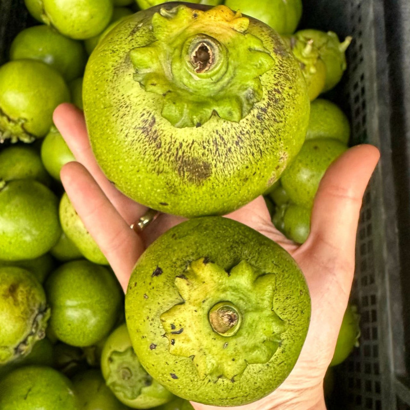 1kg Çikolata meyvesi