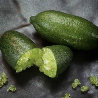 Havyar Lime(finger lime)